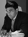 Vishwanathan Anand 90x120